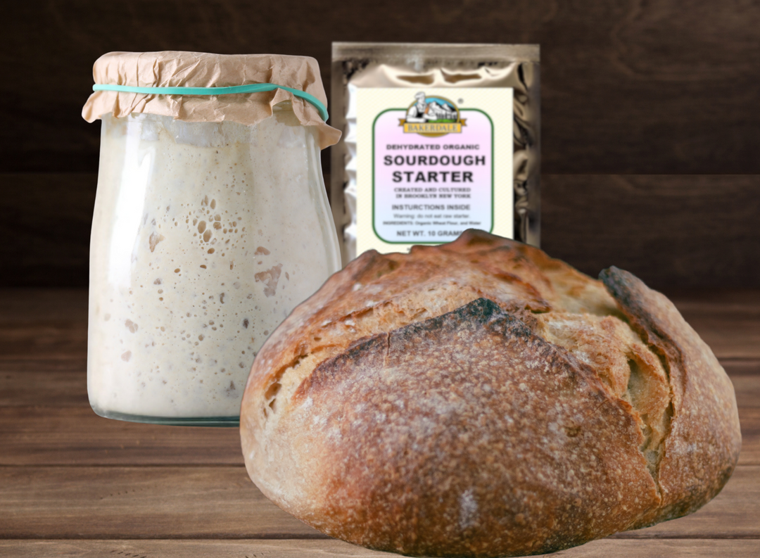 Dehydrated Organic Sourdough Starter Culture