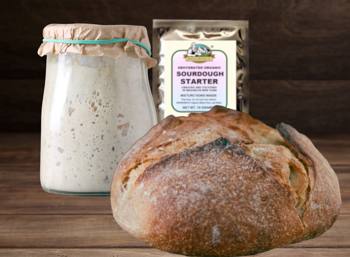 Dehydrated Organic Sourdough Starter Culture