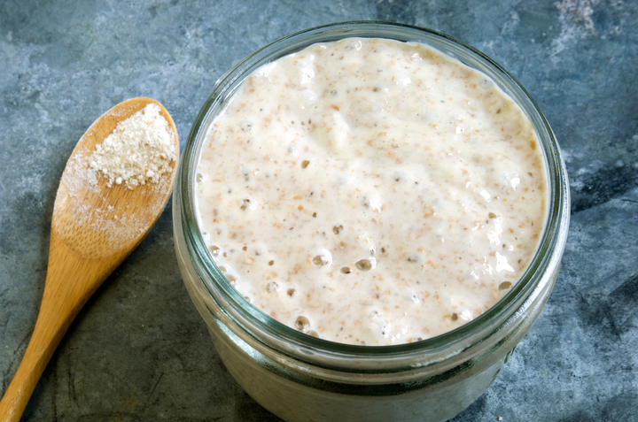 Dehydrated WHOLE WHEAT Organic Sourdough Starter